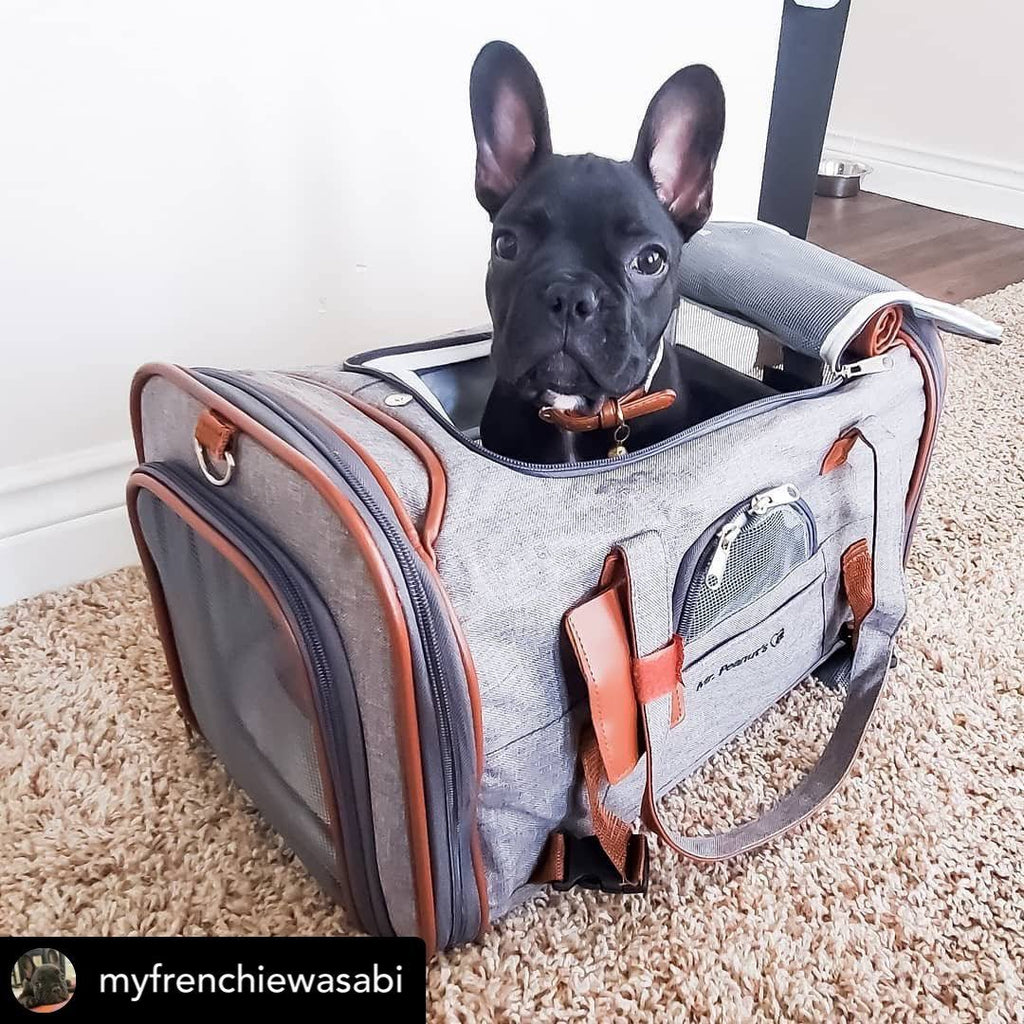 Airline Approved Soft Sided Pet Carrier Tote X4662