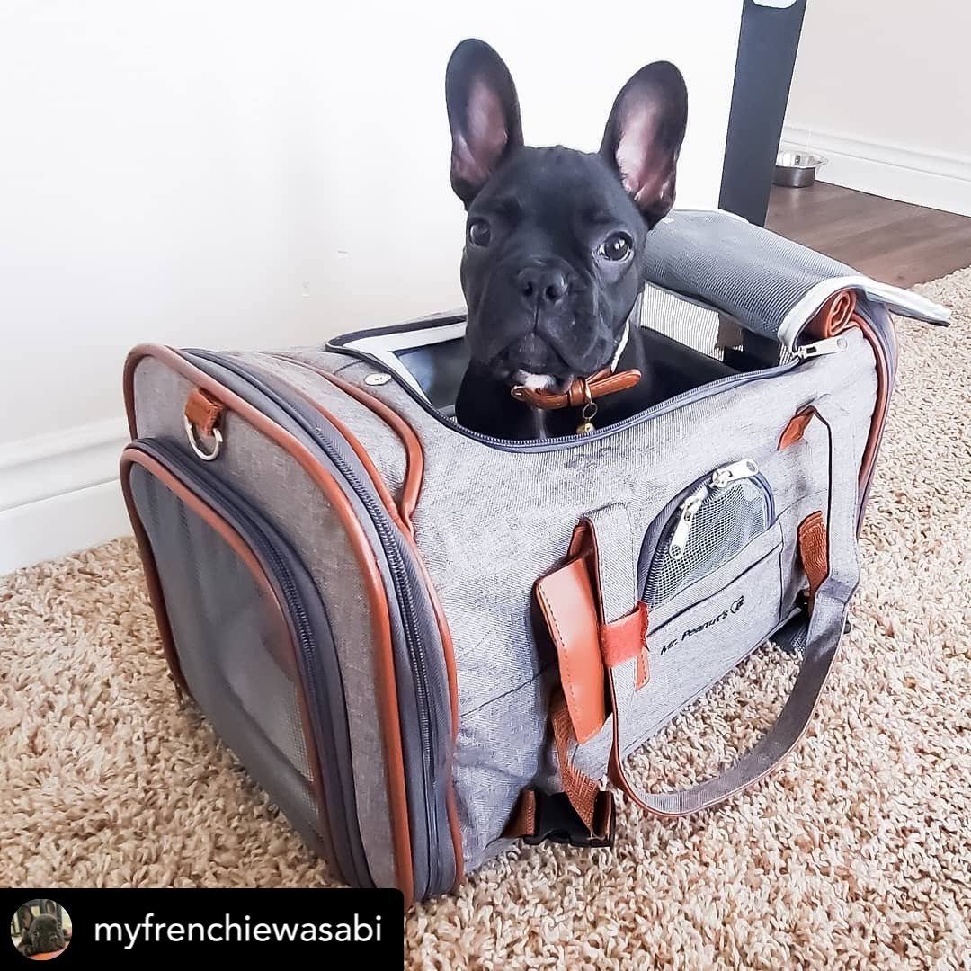 Airline Approved Soft Sided Pet Carrier Tote X4662