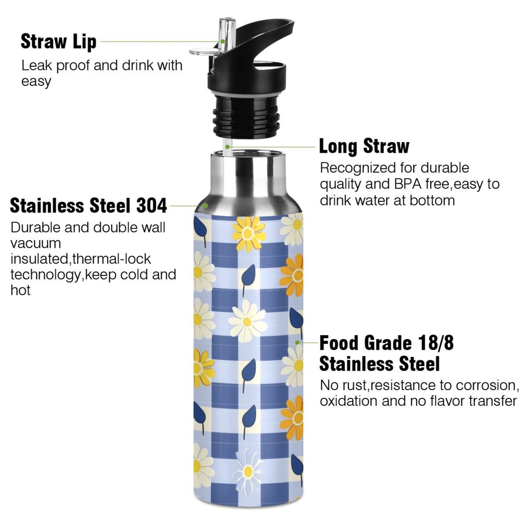 Insulated Stainless Steel Water Bottle with Straw Lid, 20 oz L888