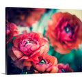 Photographic Print Canvas 29x22 H x 36x22 W x 1.5x22 D H88548