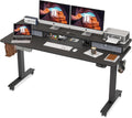 48 x 24 Inch Electric Standing Desk with Double Drawer and Storage Shelf A616