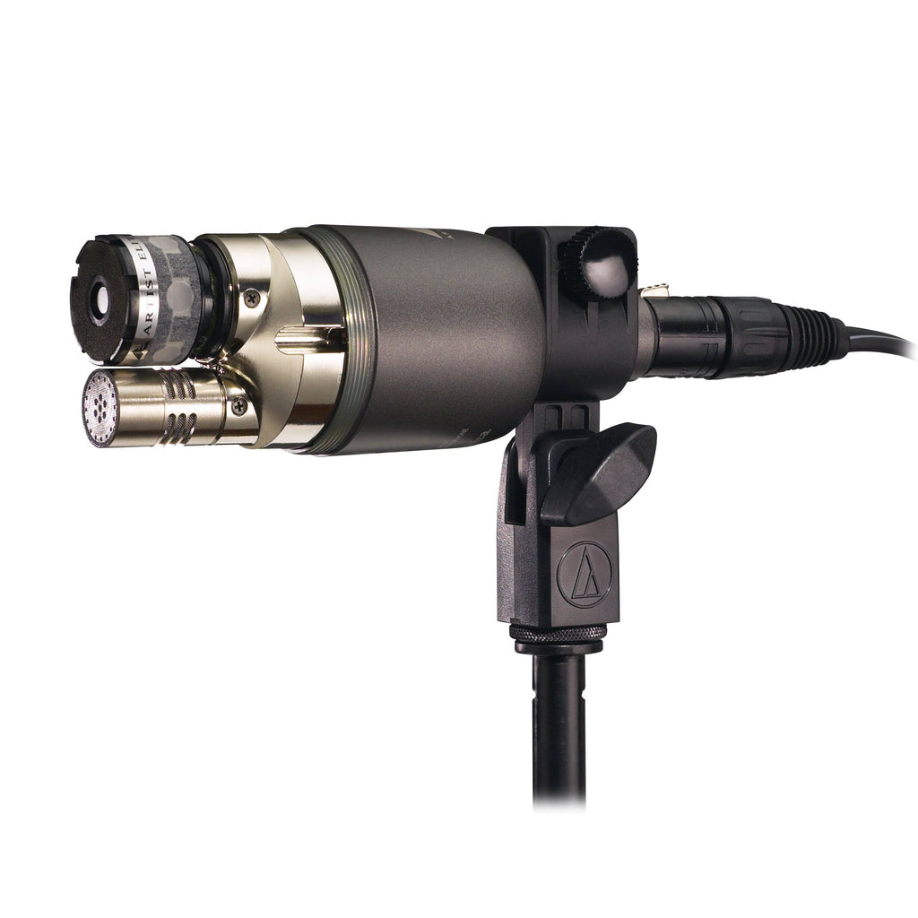 Dual-Element Microphone D6151