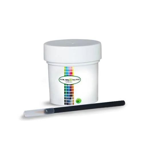 Single Stage Automotive Paint 1 Oz Bottle T24261