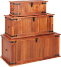 Storage Chest with Safety Hinge Wooden Storage Trunk with Metal Latch V898