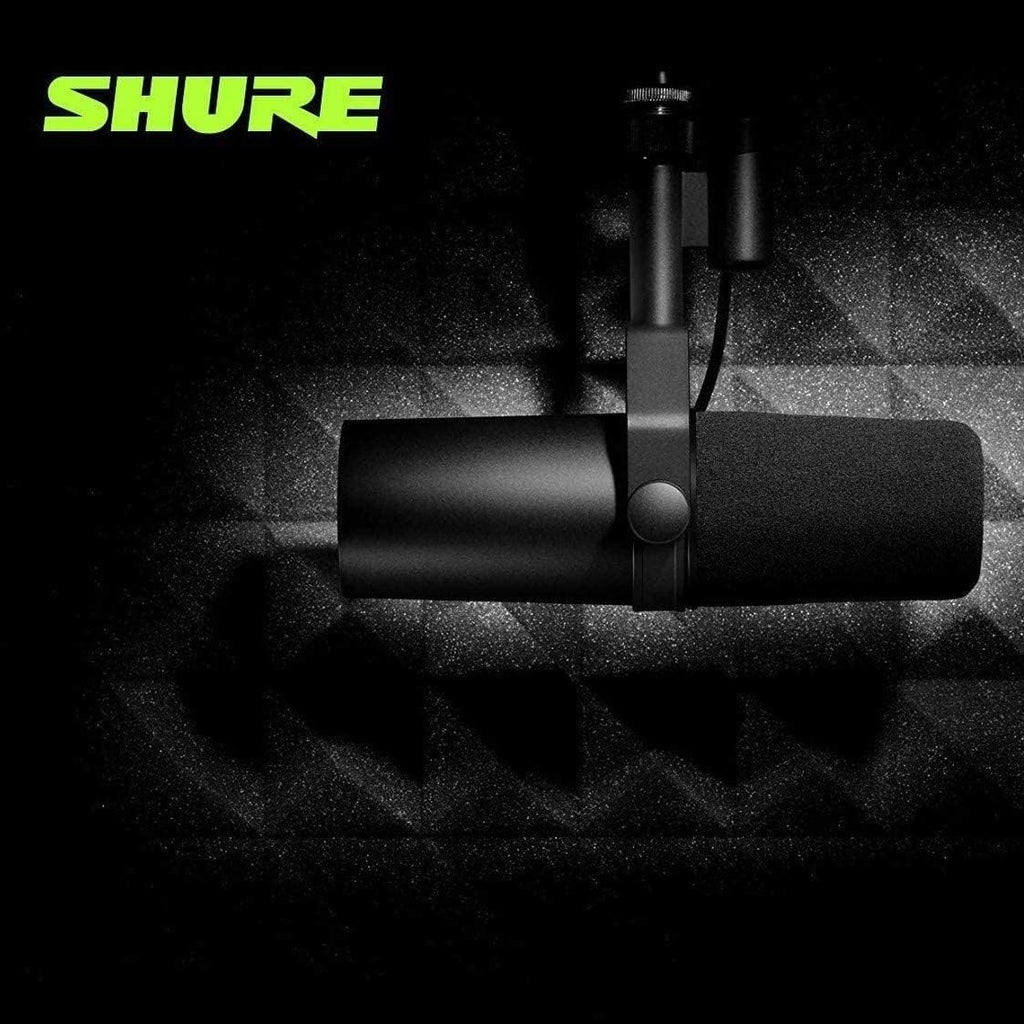 Dynamic Microphone with Boom Stand T387631