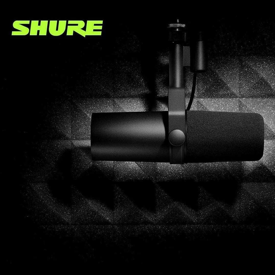 Dynamic Microphone with Boom Stand T387631