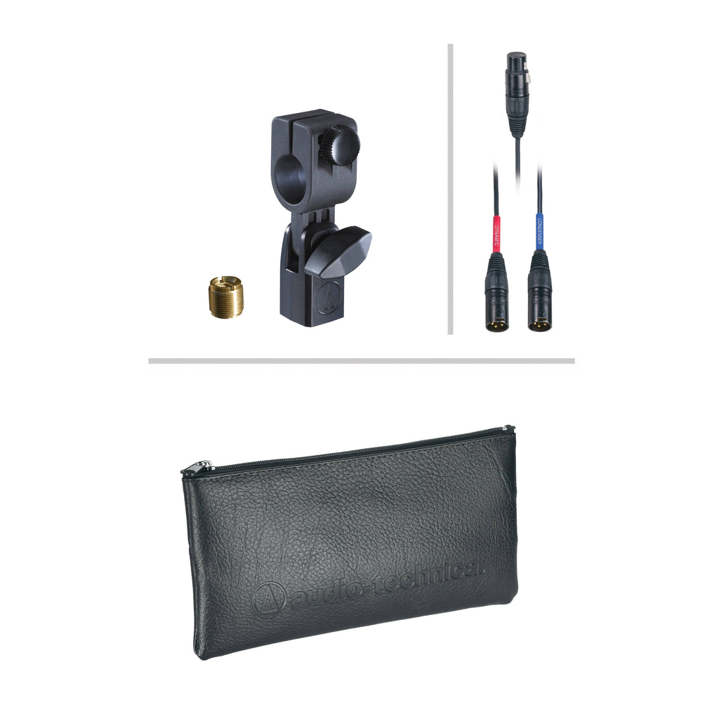 Dual-Element Microphone D6151