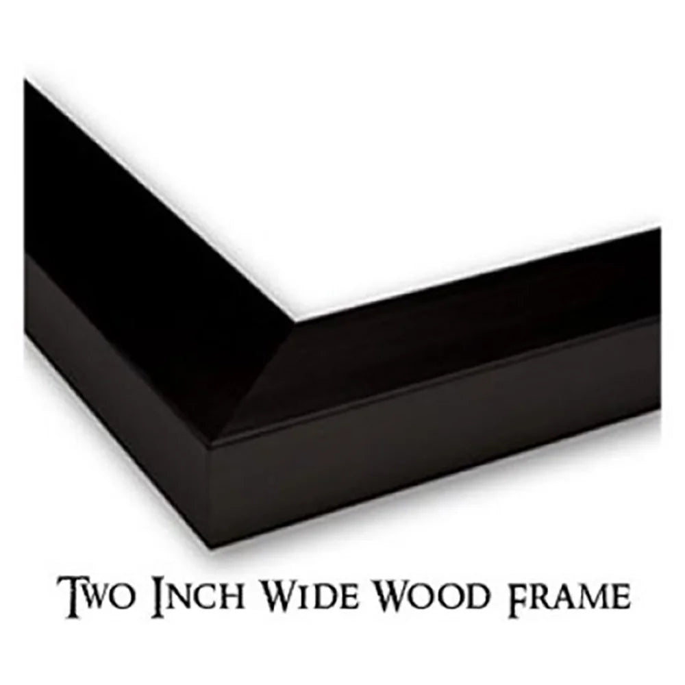 Black Modern Framed Museum Art Print A4769