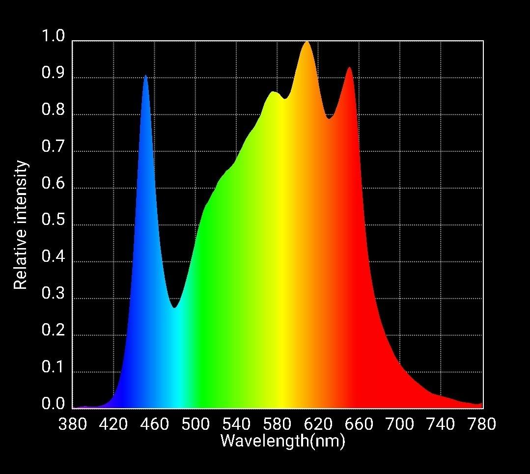 LED Fixture T52585