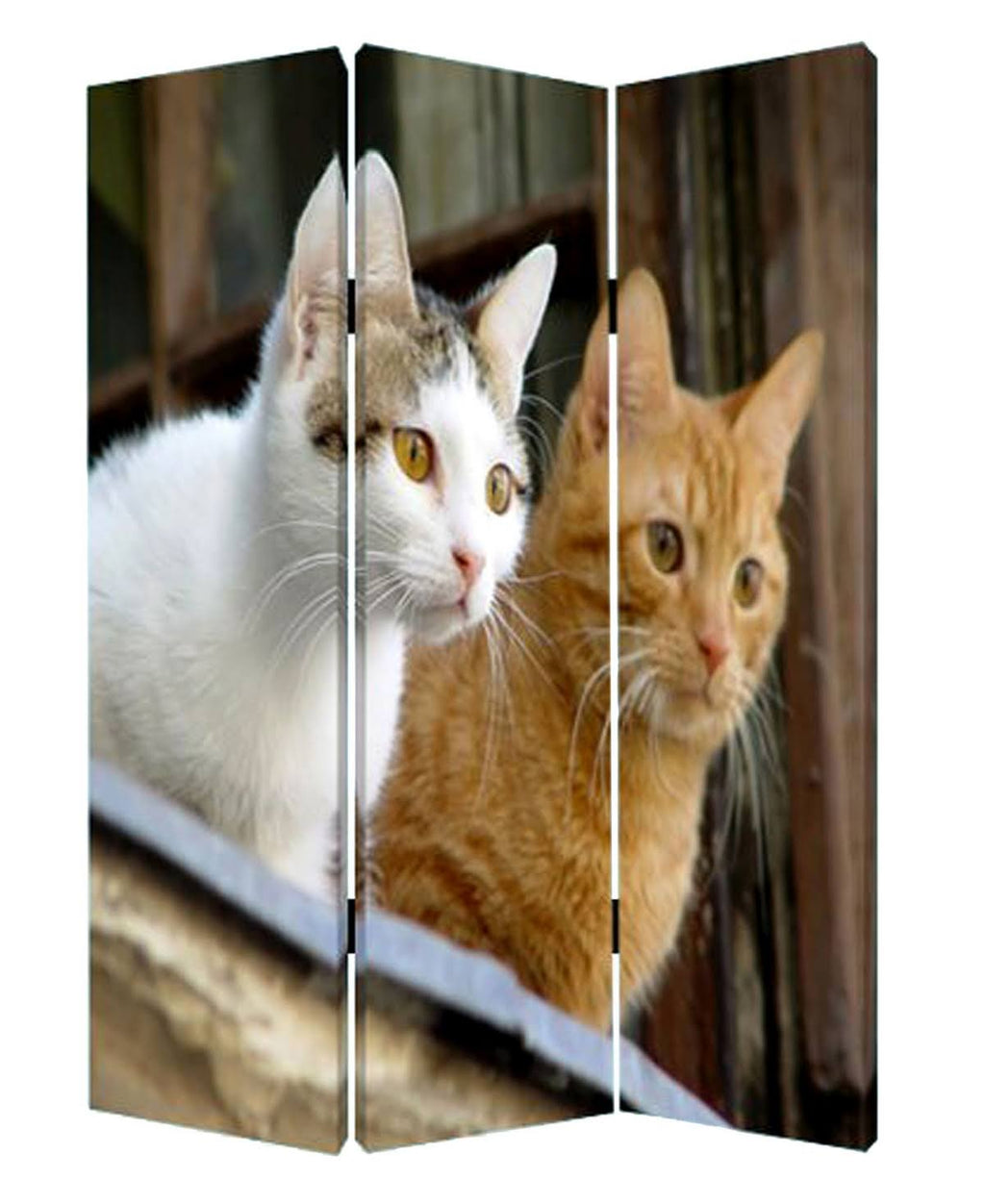 Curious Cat Screen R103