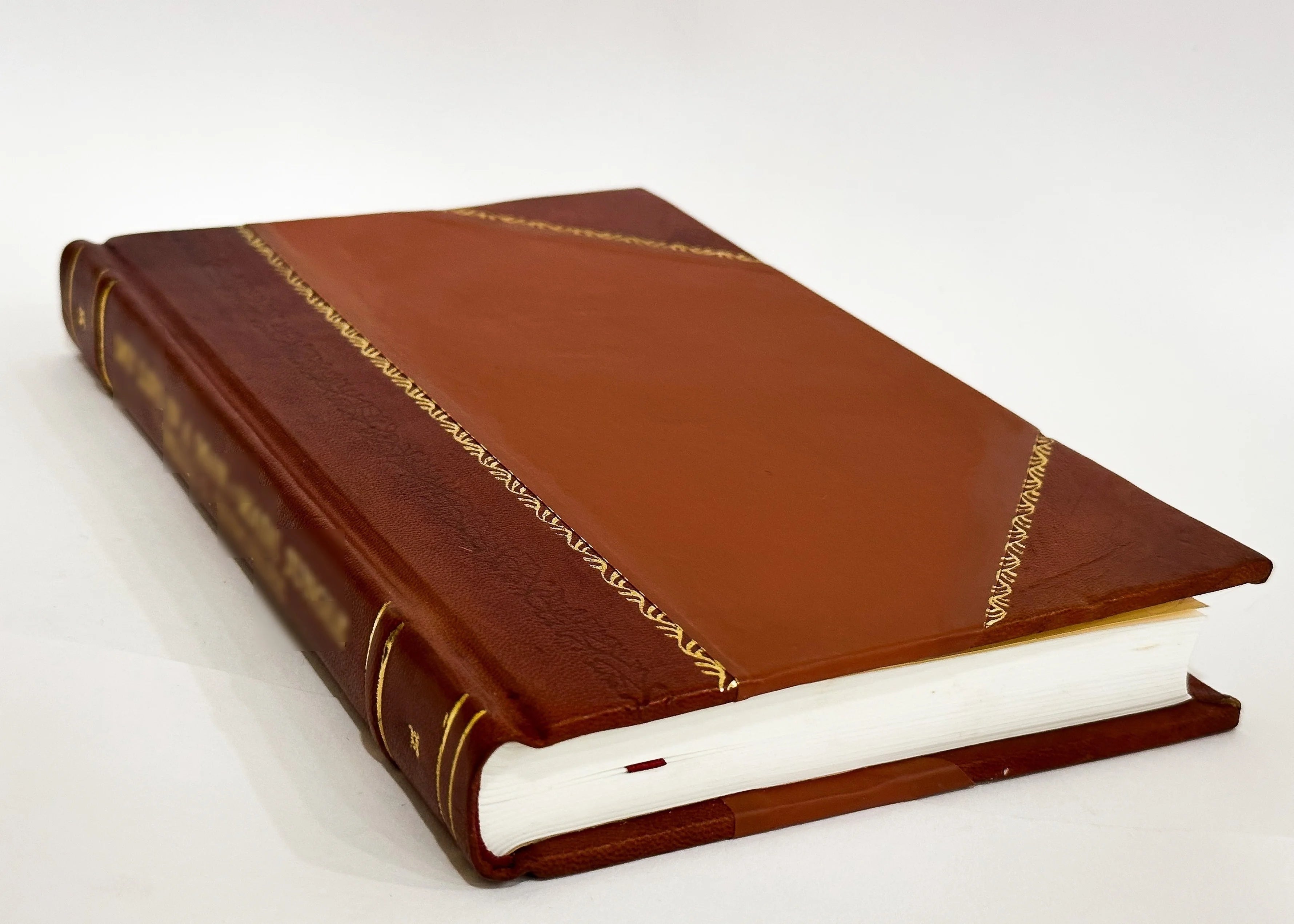 Leather Bound Book F6213