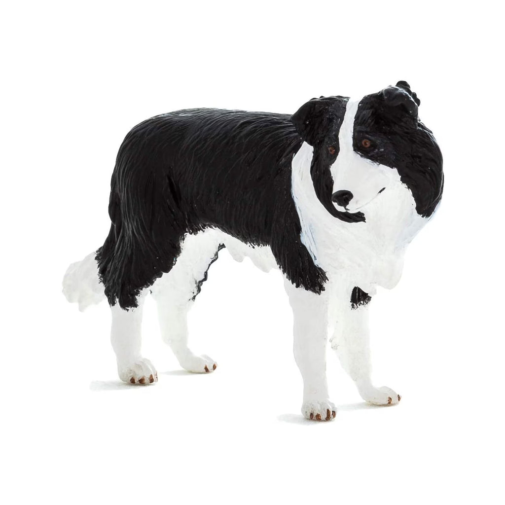 Border Collie Dog Animal Figure B47663