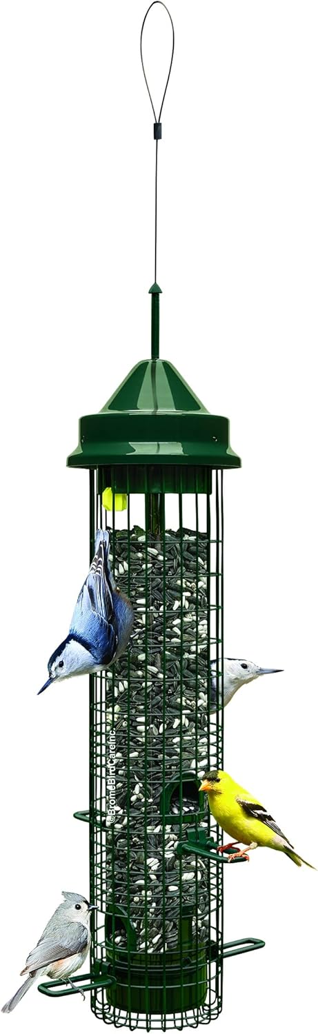 Squirrel-proof Bird Feeder with 4 Feeding Ports, 2.4-pound Seed Capacity, Pack of 2 X152275