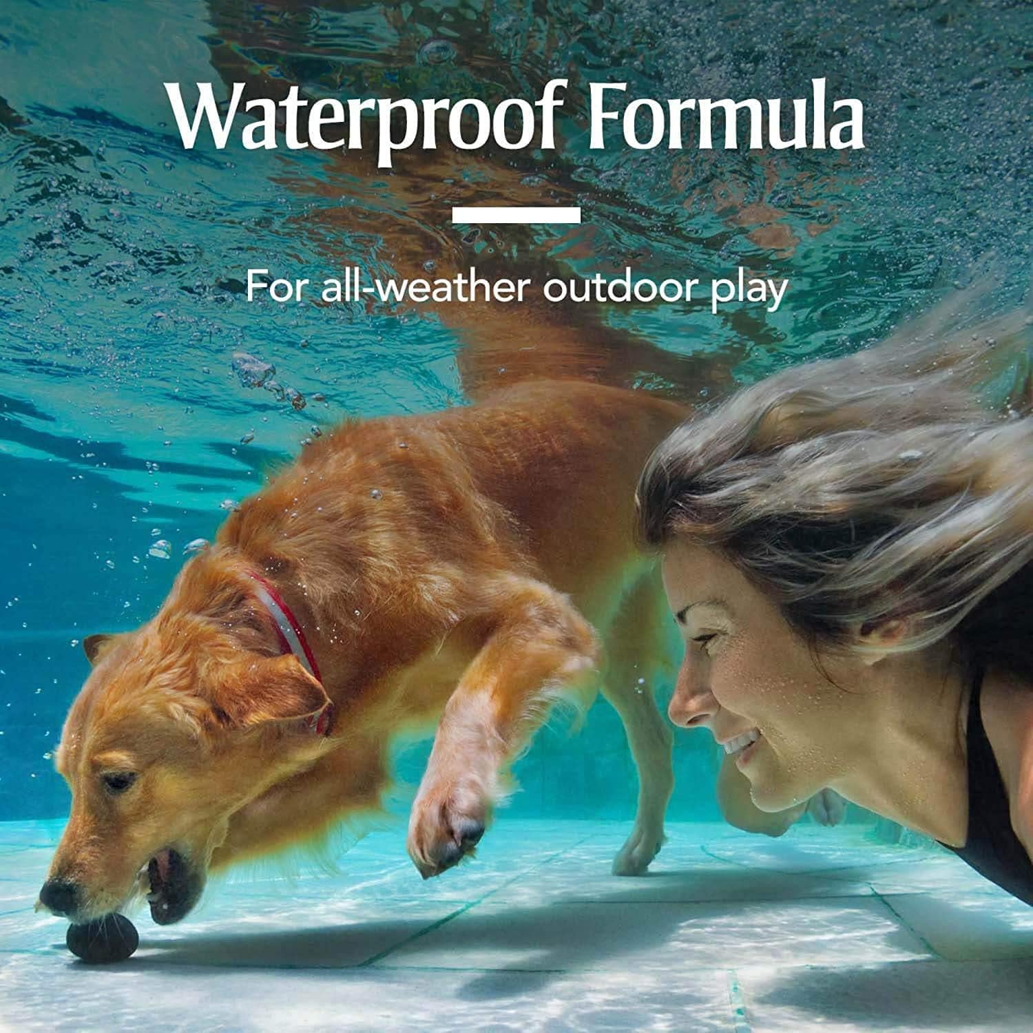 PETARMOR Plus Topical Flea and Tick Prevention for Dogs, 6 Count Pack of 2 A579