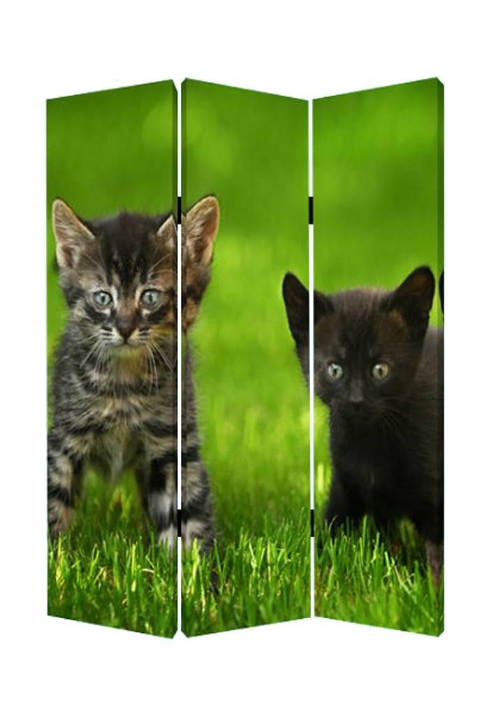 Curious Cat Screen R103