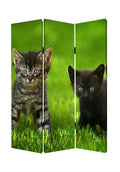 Curious Cat Screen R103