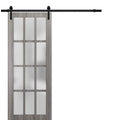 Frosted Glass Barn Door 30 x 80 Inches with Rail Hardware C765