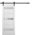 Sliding Barn Door Hardware with Frosted Opaque Glass J2452