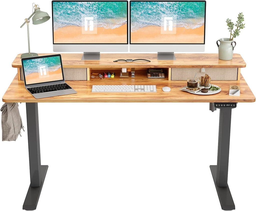 48 x 24 Inch Electric Standing Desk with Double Drawer and Storage Shelf A616