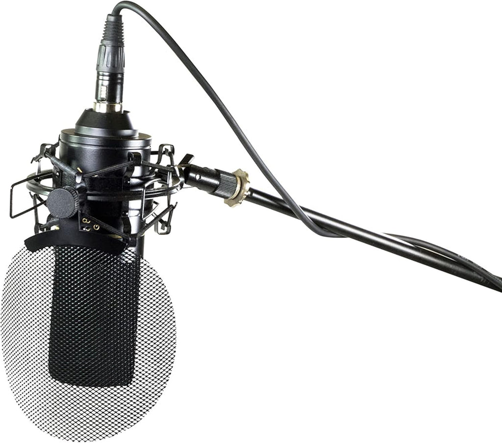 Black & Gold Multi-Pattern Condenser Microphone H762