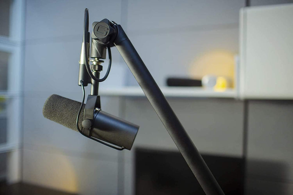 Dynamic Microphone with Boom Stand T387631