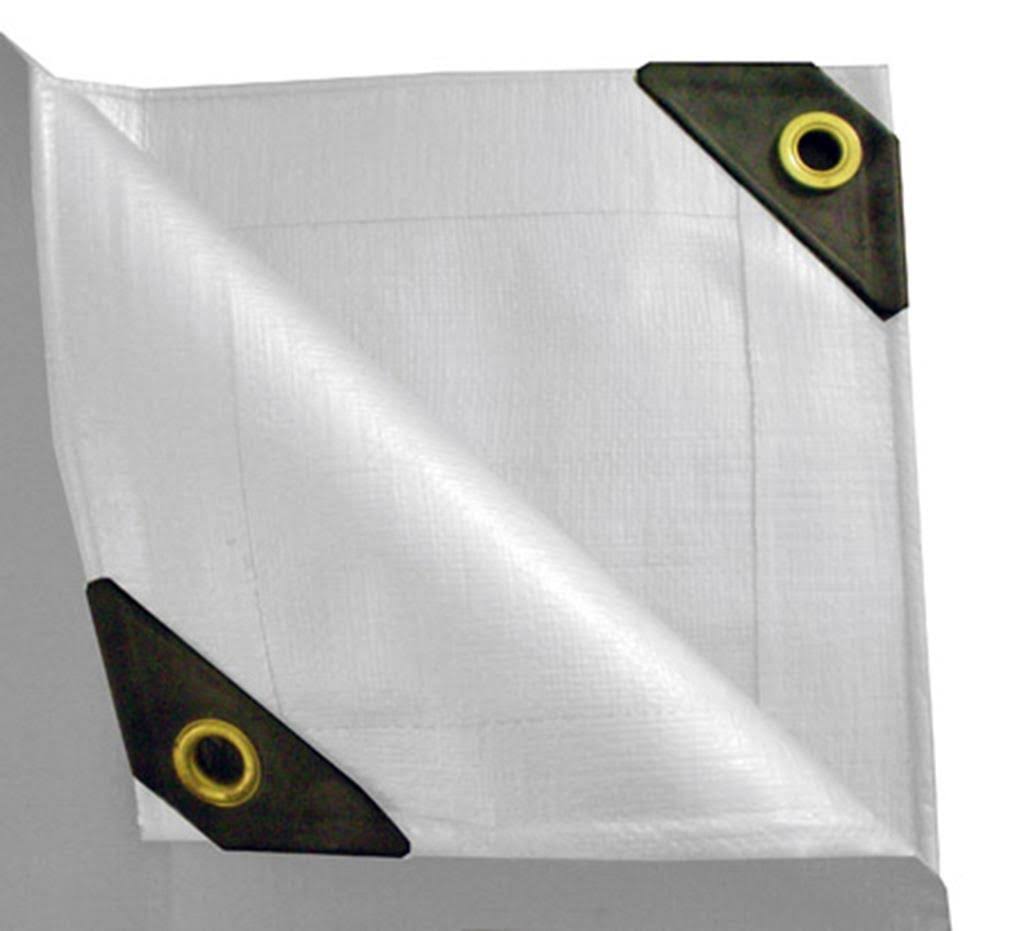 20 x 30 Heavy Duty Canopy Tarp White Q61798
