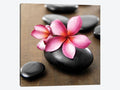 Zen Pebbles Canvas Art Picture T330647