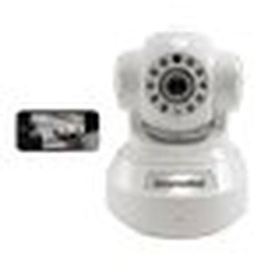 PTZ Day/Night Network Camera D12263