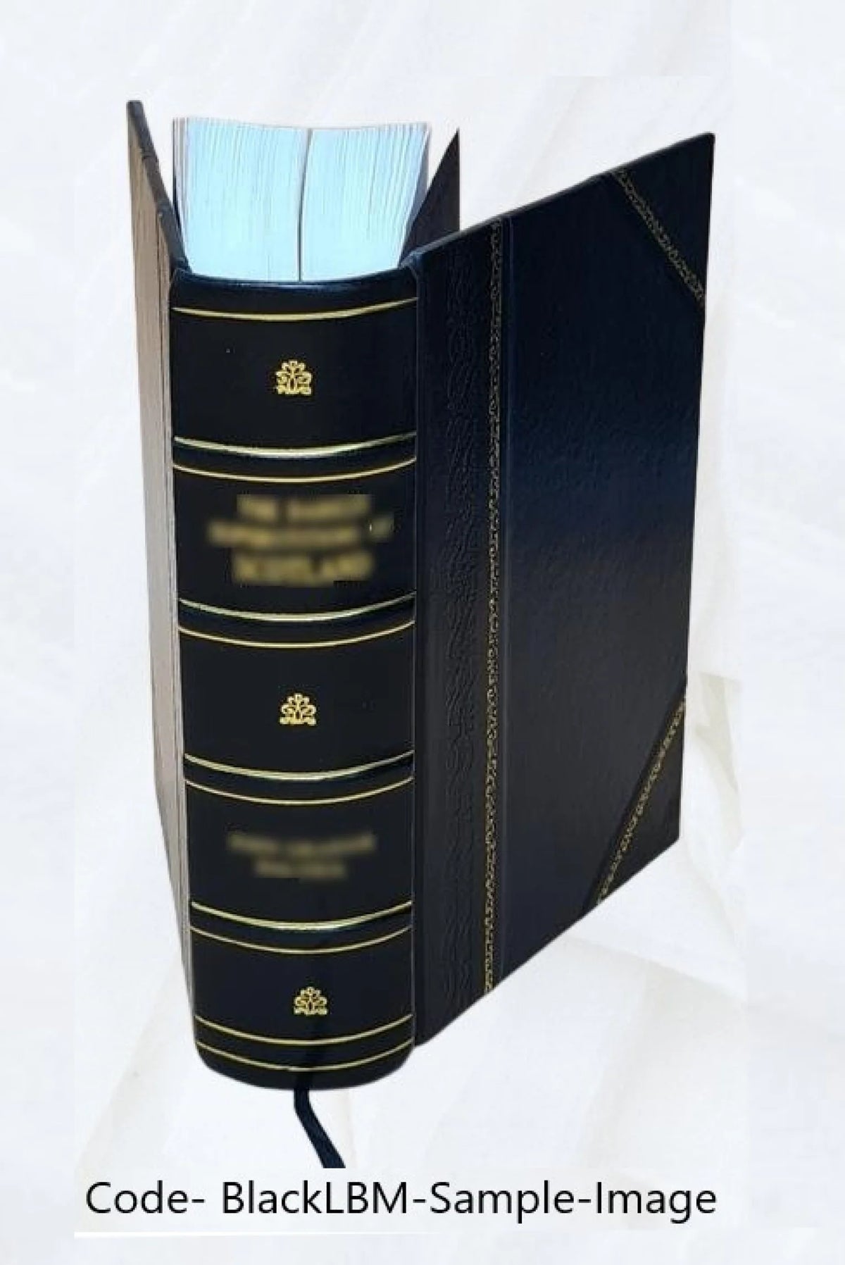 Leather Bound Book X83704