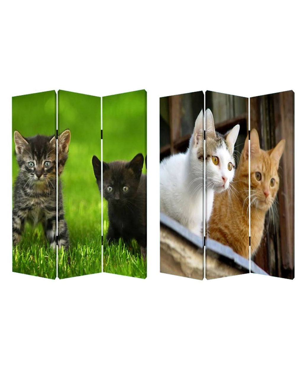 Curious Cat Screen R103