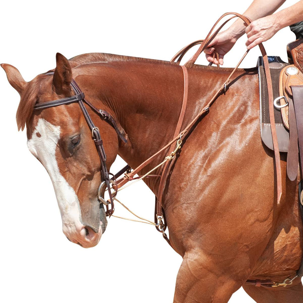 German Martingale with Split Rein I87833