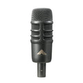 Dual-Element Microphone D6151