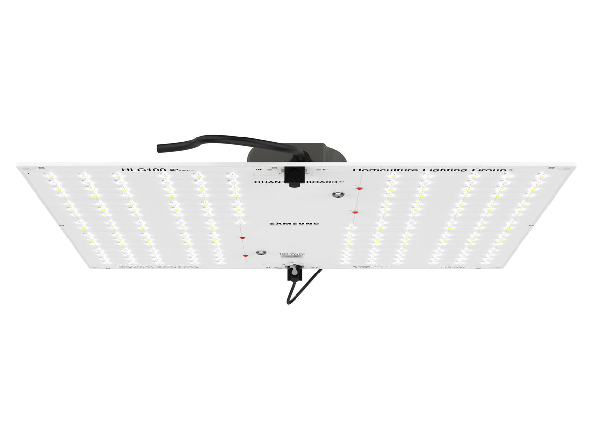 LED Fixture T52585