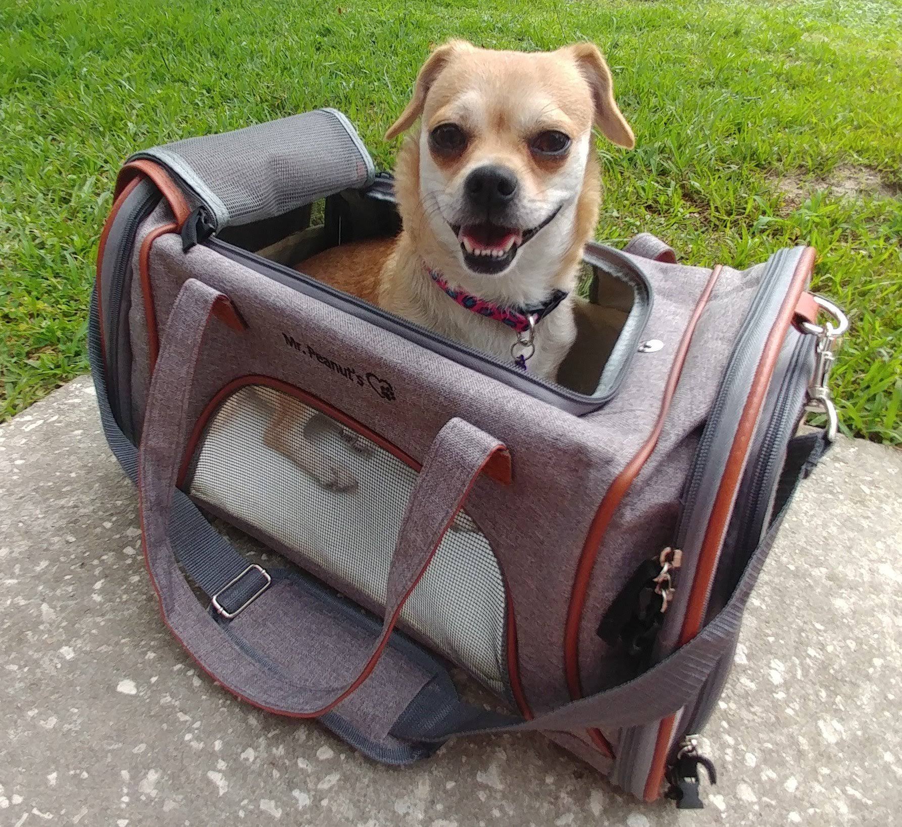 Airline Approved Soft Sided Pet Carrier Tote X4662