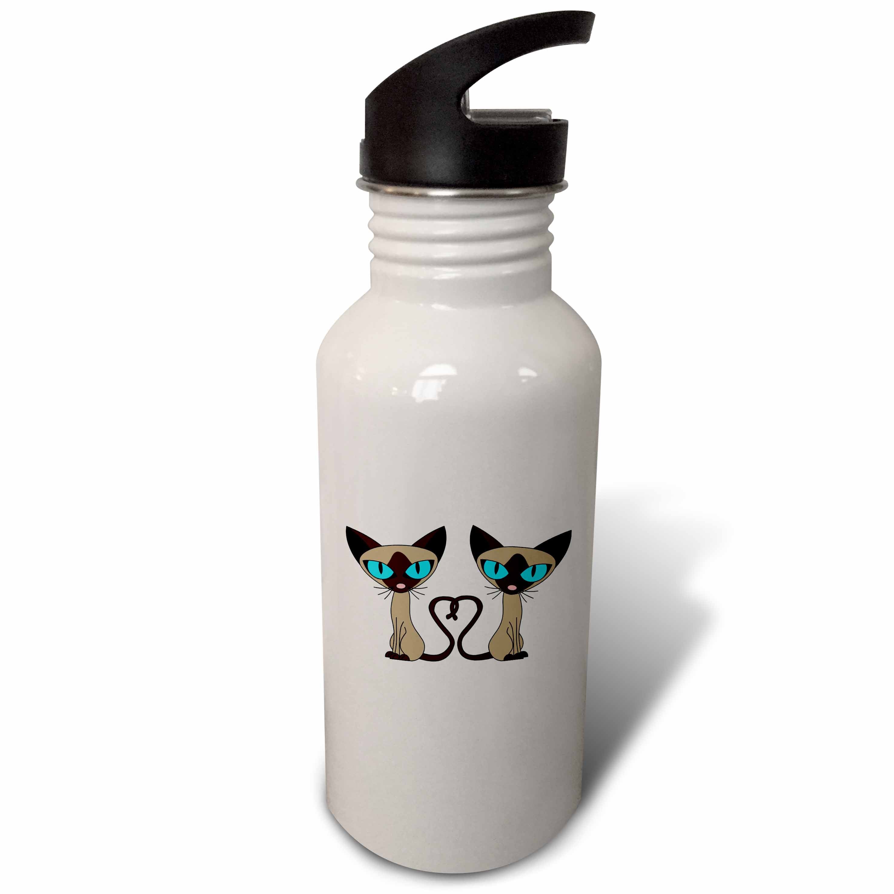 21 oz Sports Water Bottle Y4525
