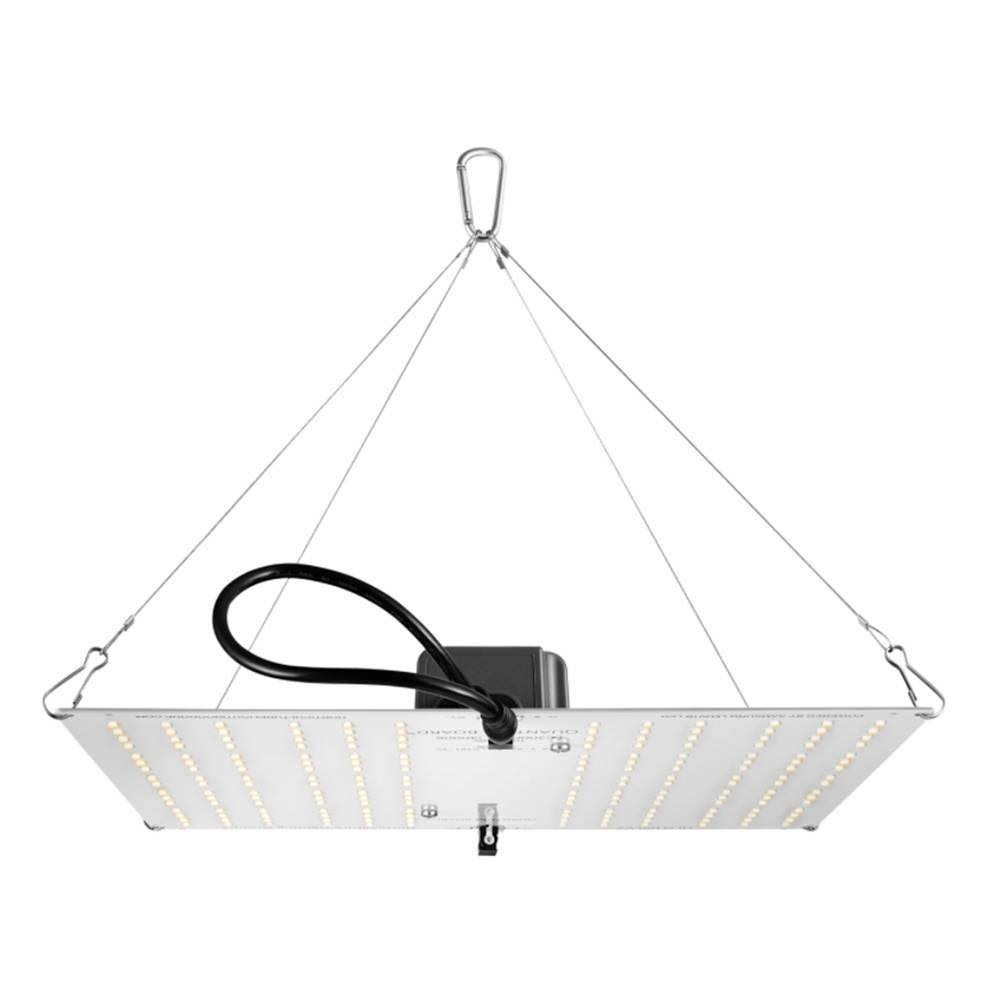 LED Fixture T52585