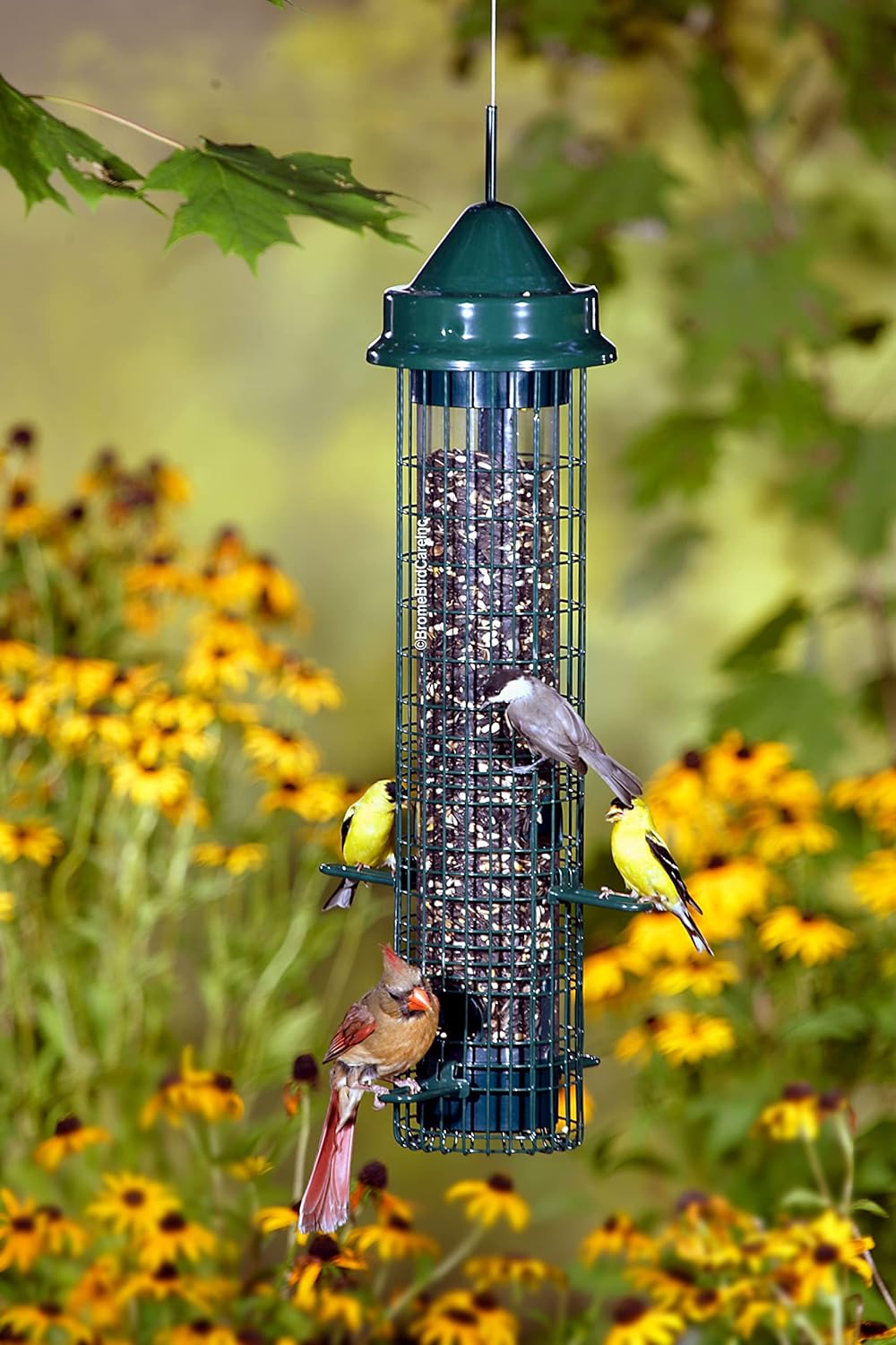 Squirrel-proof Bird Feeder with 4 Feeding Ports, 2.4-pound Seed Capacity, Pack of 2 X152275