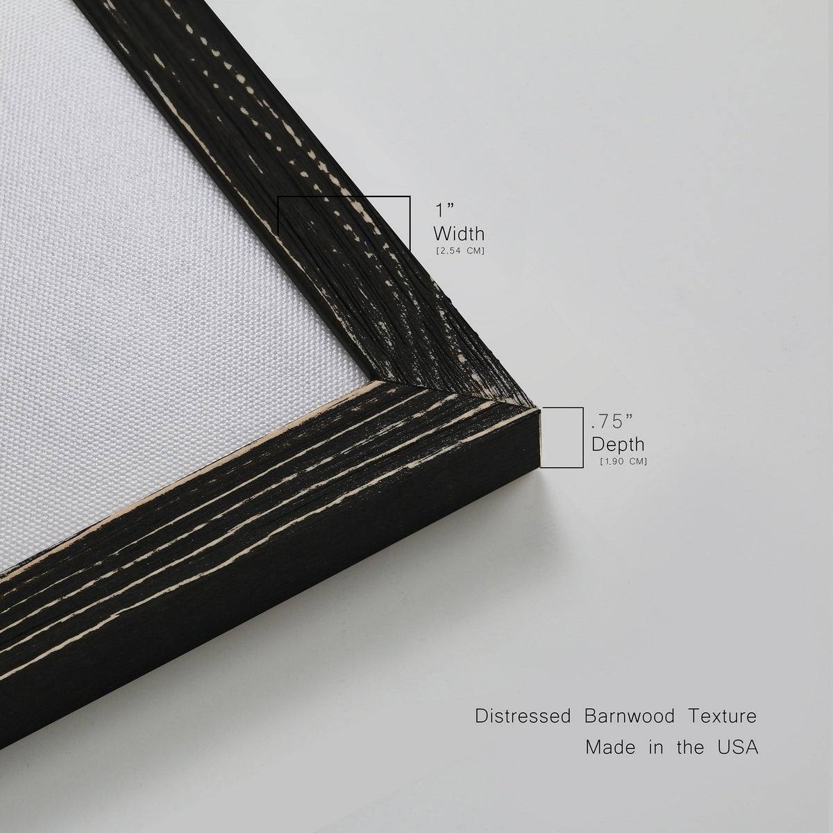 Framed Canvas 31.5x31.5 N52514