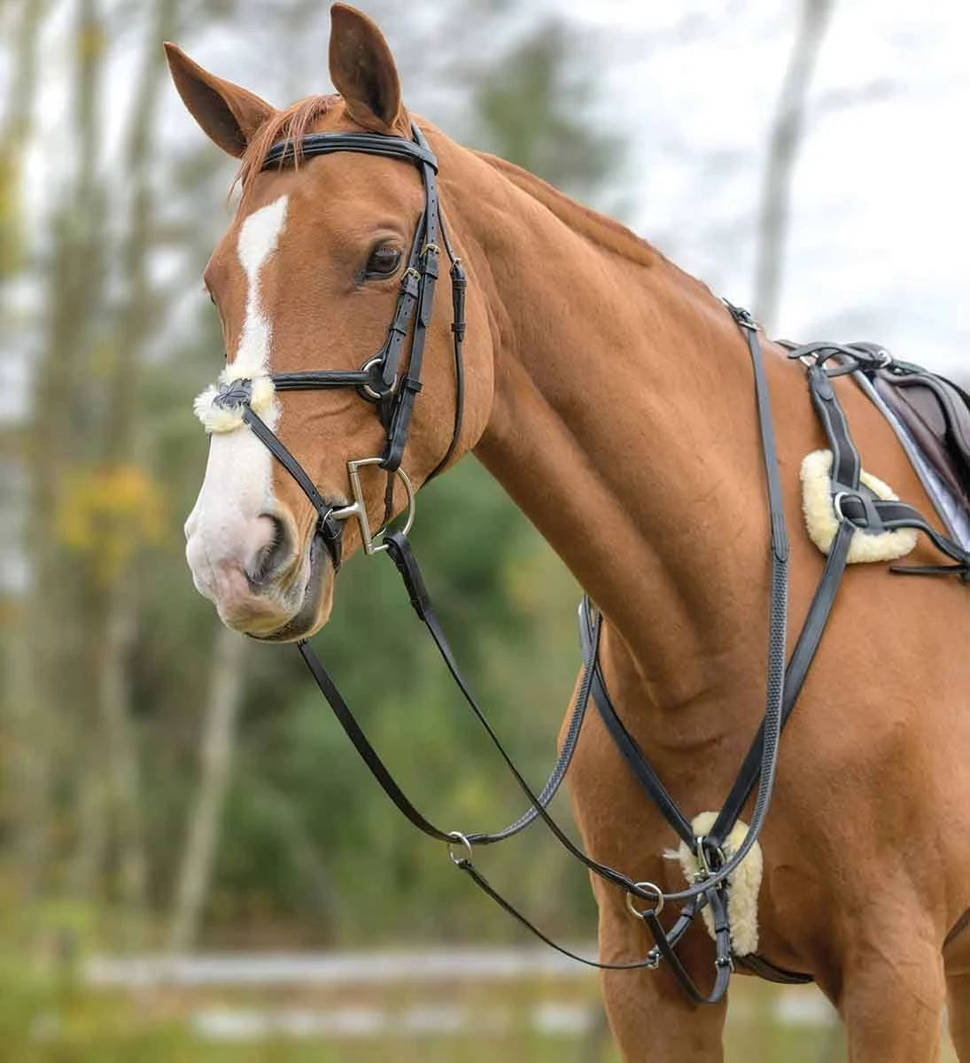 Black Full Breastplate A508