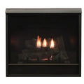 Natural Gas Fireplace with Barrier Screen & Blower Y283362