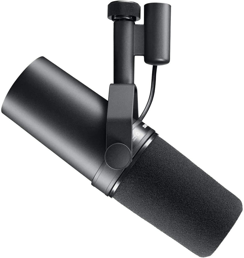 Dynamic Microphone with Boom Stand T387631